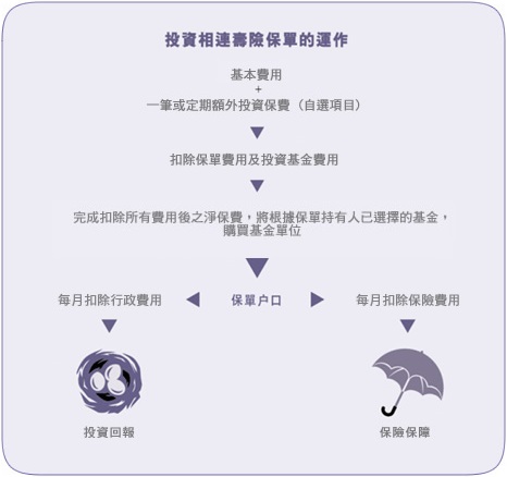 ILPs_graph1_zh ILPs_graph1_zh